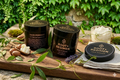 Pre Order-Root+Regimen - All Natural Hair Pomade – Matte Finish Styling Wax